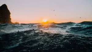 raindrops on body of water jigsaw puzzle