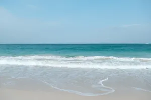 a view of the ocean from the beach jigsaw puzzle