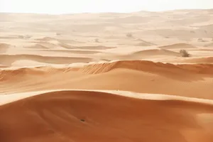 brown desert field jigsaw puzzle