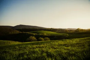 a grassy field with hills in the background jigsaw puzzle