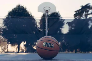 NBA Spalding ball jigsaw puzzle
