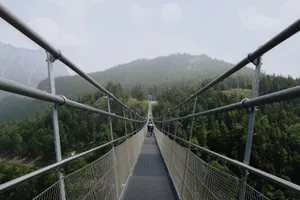 a suspension bridge in the middle of a forest jigsaw puzzle