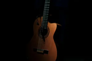 brown cutaway acoustic guitar jigsaw puzzle
