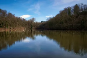 Tranquil landscape of a forest lake reflecting bare winter trees under a clear blue sky. jigsaw puzzle