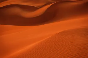 Captivating red sand dunes illuminated by the warm glow of sunset, creating a breathtaking desert landscape. jigsaw puzzle