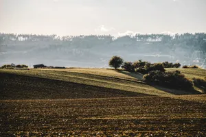A peaceful countryside view showcasing rolling hills with trees during daytime. jigsaw puzzle