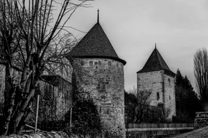 Capture of medieval towers in Estavayer-le-Lac, Switzerland, in striking black and white. jigsaw puzzle