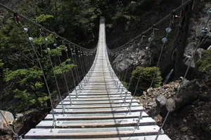 Dramatic view of a wooden suspension bridge stretching through a forested landscape. jigsaw puzzle