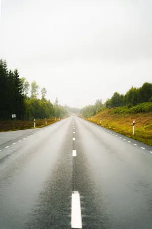 A tranquil, empty highway stretches into the distance through lush green forests, photographed in daylight. jigsaw puzzle