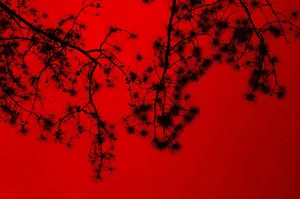 Silhouette of tree branches against a vivid red background creates a dramatic and artistic scene. jigsaw puzzle