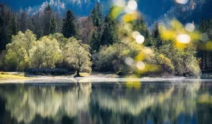 lake jigsaw puzzle