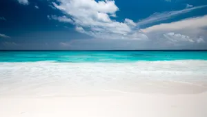 seychelles jigsaw puzzle