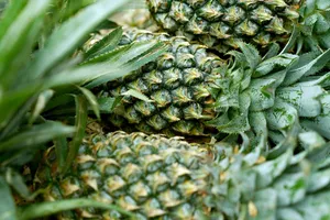 pineapple jigsaw puzzle