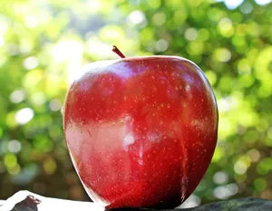 apple jigsaw puzzle