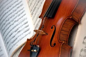 violin jigsaw puzzle