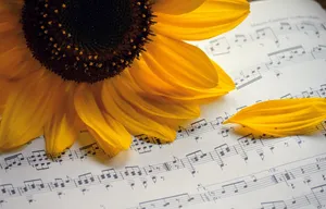 sunflower jigsaw puzzle