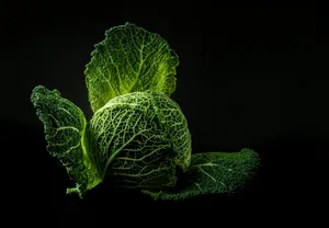 vegetable jigsaw puzzle