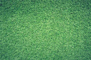 field jigsaw puzzle