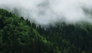 a forest covered in fog and low lying clouds jigsaw puzzle