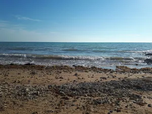 a view of the ocean from the beach jigsaw puzzle