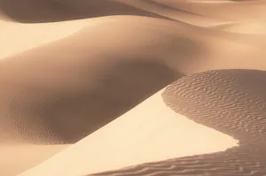 a desert landscape with a large amount of sand dunes jigsaw puzzle