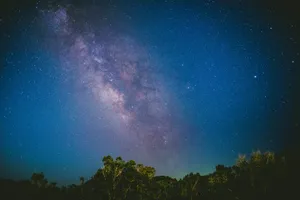 trees under blue sky jigsaw puzzle