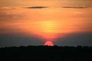the sun is setting over the trees in the distance jigsaw puzzle