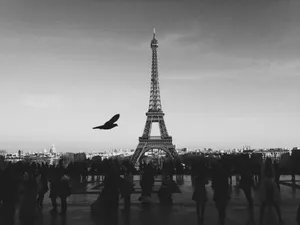 bird flying above people Walkin near Eiffel tower jigsaw puzzle