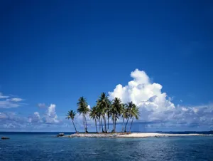 a small island with three palm trees on it jigsaw puzzle