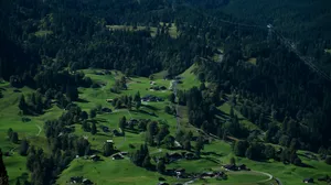 Green rolling hills with scattered houses and pine trees. jigsaw puzzle