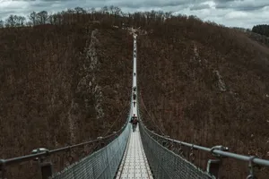 a suspension bridge in the middle of a forest jigsaw puzzle