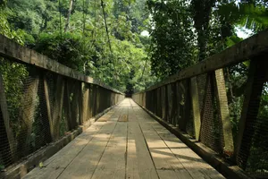 a wooden bridge surrounded by lush green trees jigsaw puzzle