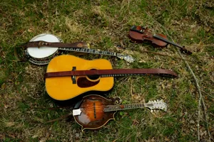 Acoustic guitar, banjo, mandolin, and violin on grass jigsaw puzzle