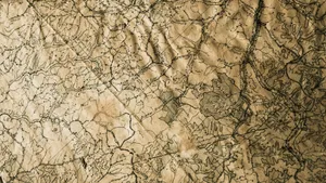 map illustration jigsaw puzzle