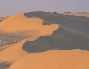 From above of rough sandy dunes in endless empty wild desert in daylight jigsaw puzzle