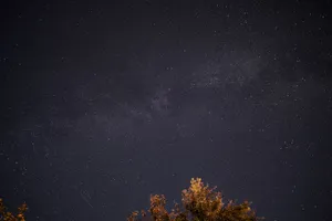A breathtaking view of the star-studded night sky with the Milky Way above silhouetted tree tops. jigsaw puzzle