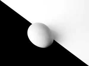 A minimalist black and white photo featuring an egg on diagonal background. jigsaw puzzle