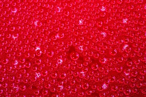 Colorful close-up of bubbles on a red surface, showcasing texture and abstract design. jigsaw puzzle