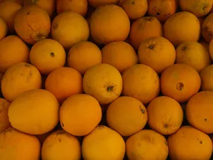Fresh oranges stacked in abundance showcasing vibrant citrus colors at a market. jigsaw puzzle