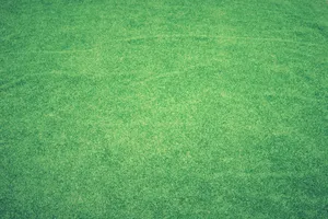 High-quality vibrant green grass texture perfect for backgrounds and digital use. jigsaw puzzle