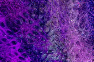 A mesmerizing abstract background with vibrant purple hues and intricate textures. jigsaw puzzle
