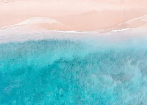sea jigsaw puzzle
