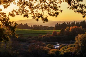 nature jigsaw puzzle