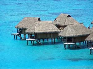moorea jigsaw puzzle