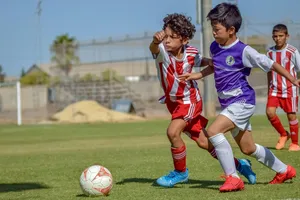 football jigsaw puzzle