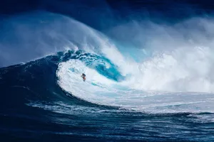 surfer jigsaw puzzle