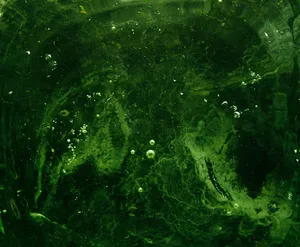 green and black abstract painting jigsaw puzzle
