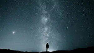 silhouette of person under starry sky jigsaw puzzle