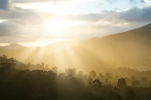 silhouette of trees during sunset jigsaw puzzle