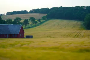 a red barn in a field of grass jigsaw puzzle